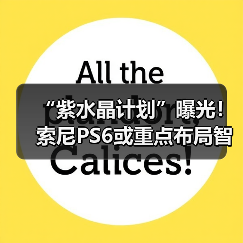 “紫水晶计划”曝光!索尼PS6或重点布局智能图像重建(图4) “紫水晶计划”曝光!索尼PS6或重点布局智能图像重建(图4)