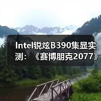 Intel锐炫B390集显实测:《赛博朋克2077》超80FPS(图1) Intel锐炫B390集显实测:《赛博朋克2077》超80FPS(图1)