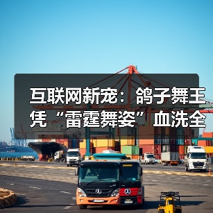 互联网新宠:鸽子舞王凭“雷霆舞姿”血洗全网(图3) 互联网新宠:鸽子舞王凭“雷霆舞姿”血洗全网(图3)