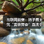 互联网新宠:鸽子舞王凭“雷霆舞姿”血洗全网(图4) 互联网新宠:鸽子舞王凭“雷霆舞姿”血洗全网(图4)