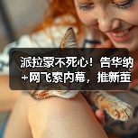 派拉蒙不死心!告华纳+网飞索内幕,推新董事争取股东(图3) 派拉蒙不死心!告华纳+网飞索内幕,推新董事争取股东(图3)