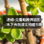 汤姆·克鲁斯跨界摄影?水下光剑战实拍细节曝光(图3) 汤姆·克鲁斯跨界摄影?水下光剑战实拍细节曝光(图3)
