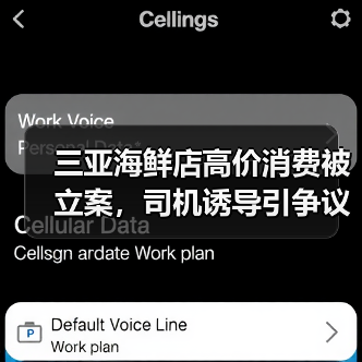 三亚海鲜店高价消费被立案，司机诱导引争议