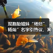 双胞胎姐妹“杨烂”“杨灿”名字引热议,寓意揭秘(图3) 双胞胎姐妹“杨烂”“杨灿”名字引热议,寓意揭秘(图3)