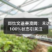 郑钦文退赛澳网:未达100%状态引关注(图2) 郑钦文退赛澳网:未达100%状态引关注(图2)