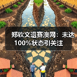 郑钦文退赛澳网：未达100%状态引关注