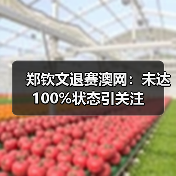 郑钦文退赛澳网:未达100%状态引关注(图3) 郑钦文退赛澳网:未达100%状态引关注(图3)