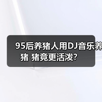 95后养猪人用DJ音乐养猪 猪竟更活泼?(图4) 95后养猪人用DJ音乐养猪 猪竟更活泼?(图4)