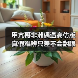 甲亢哥非洲偶遇高仿版 真假难辨只差不会翻跟头(图2) 甲亢哥非洲偶遇高仿版 真假难辨只差不会翻跟头(图2)