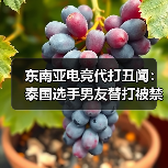 东南亚电竞代打丑闻:泰国选手男友替打被禁赛(图4) 东南亚电竞代打丑闻:泰国选手男友替打被禁赛(图4)