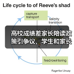 高校成绩差家长陪读政策引争议，学生和家长如何应对？