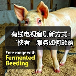 有线电视追剧新方式:‘快看’服务如何颠覆传统?(图3) 有线电视追剧新方式:‘快看’服务如何颠覆传统?(图3)