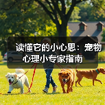 读懂它的小心思:宠物心理小专家指南(图4) 读懂它的小心思:宠物心理小专家指南(图4)