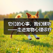 它们的心事,我们倾听——走进宠物心理诊疗中心(图3) 它们的心事,我们倾听——走进宠物心理诊疗中心(图3)