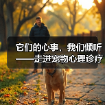 它们的心事，我们倾听——走进宠物心理诊疗中心
