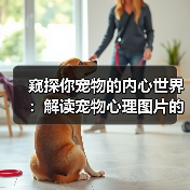 窥探你宠物的内心世界：解读宠物心理图片的奥秘