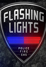 消防模拟(Flashing Lights) v20251218